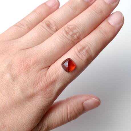 ガーネット Garnet N005