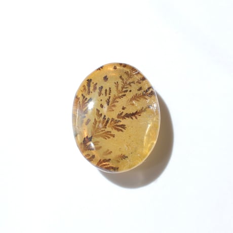 【自社研磨】デンドリティッククォーツ Dendritic Quartz N006