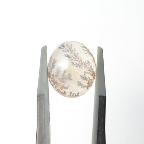 【自社研磨】デンドリティッククォーツ Dendritic Quartz N030