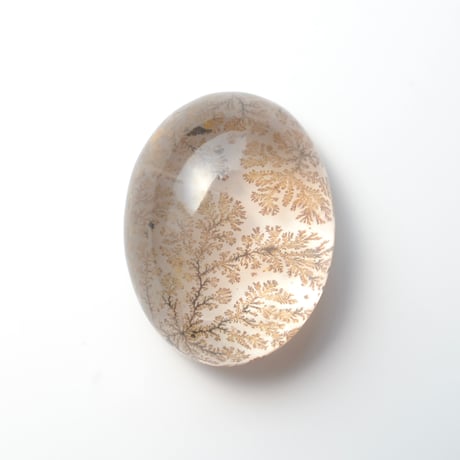 【自社研磨】デンドリティッククォーツ Dendritic Quartz N031