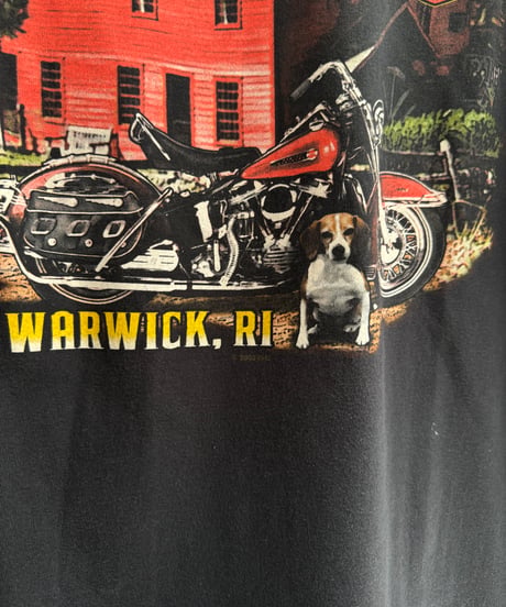 Harley Davidson T-Shirt -79