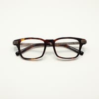 BLACK FLYS ブラックフライ BAKER ベイカー HAVANA