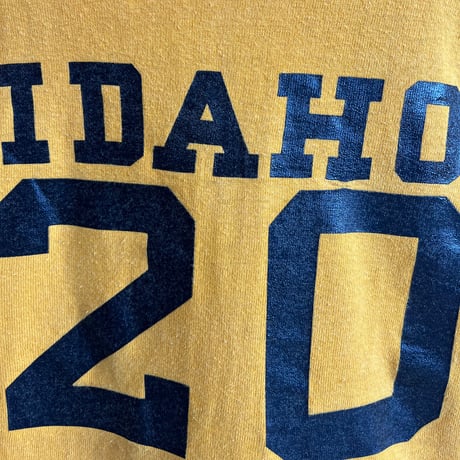 1960's〜 Champion Size L IDAHO Football S/S T-Shirts