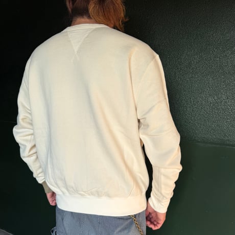 トレーナードスキナード