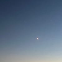 🌟華と1か月のLINEメニュー🌟