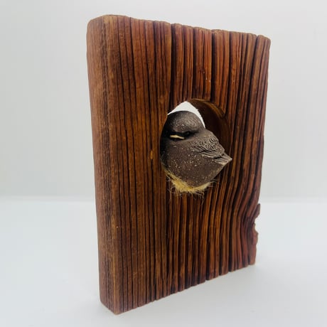 【Hannes Johansson】木に籠る鳥