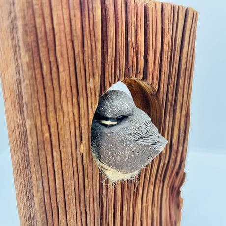 【Hannes Johansson】木に籠る鳥