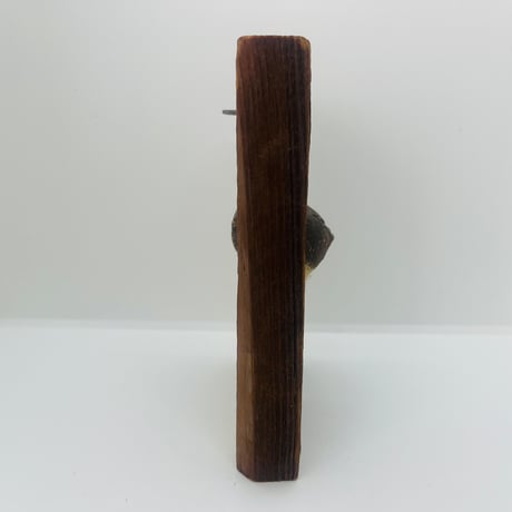 【Hannes Johansson】木に籠る鳥