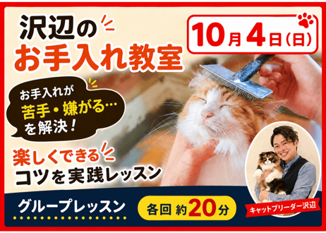 沢辺のお手入れ教室