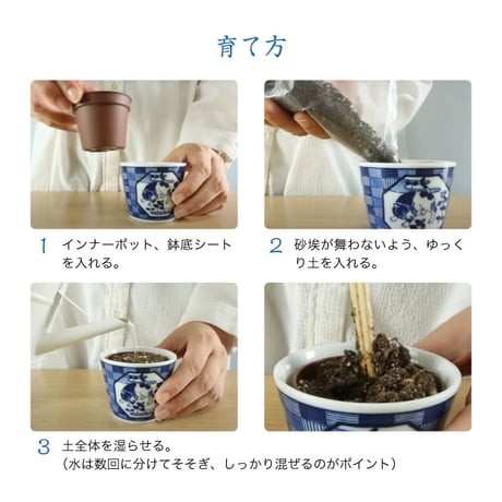 ハーブ栽培セット 染付小紋 草花BONSA