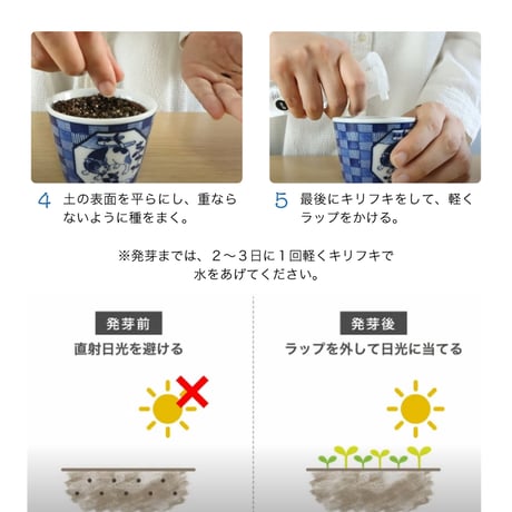 ハーブ栽培セット 染付小紋 草花BONSA