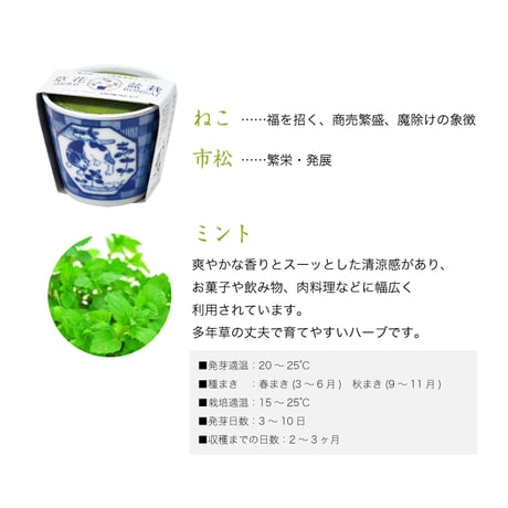 ハーブ栽培セット 染付小紋 草花BONSA