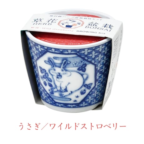 ハーブ栽培セット 染付小紋 草花BONSA