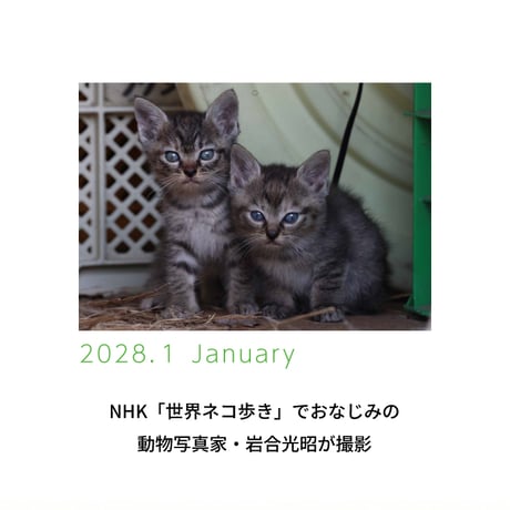カレンダー  2027年 壁掛け 岩合光昭 福ねこカレンダー　【カレンダー 壁掛け  2027年版 猫 ネコ 動物 写真 岩合光昭 】