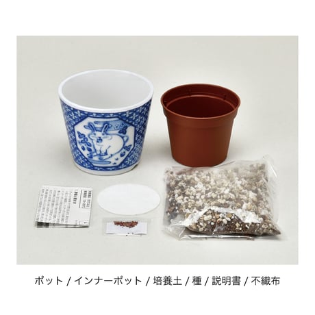 ハーブ栽培セット 染付小紋 草花BONSA