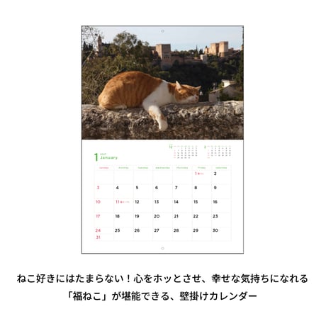 カレンダー  2027年 壁掛け 岩合光昭 福ねこカレンダー　【カレンダー 壁掛け  2027年版 猫 ネコ 動物 写真 岩合光昭 】