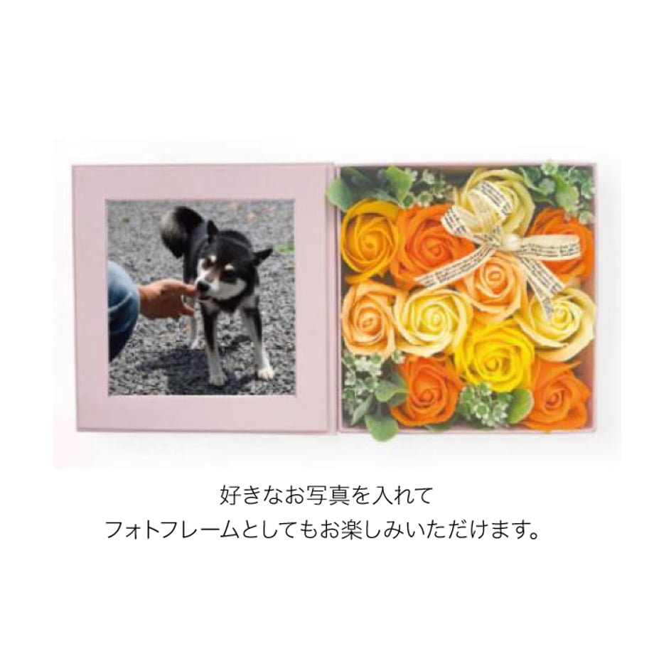 6a87ec37b354bf076c202a8e