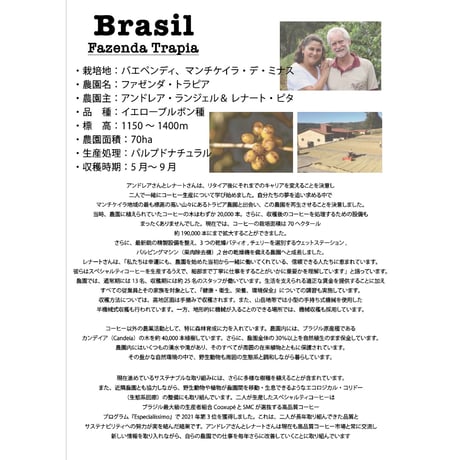 ブラジル　中煎り  ミディアムロースト　２５０ｇ
