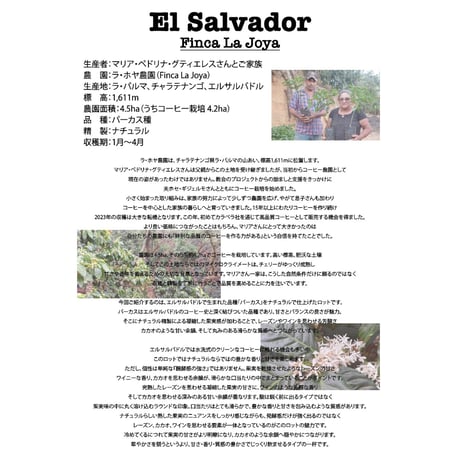 ※数量限定　エルサルバドル　ラ・ホヤ農園　パーカス種ナチュラル　浅煎り　２５０ｇ