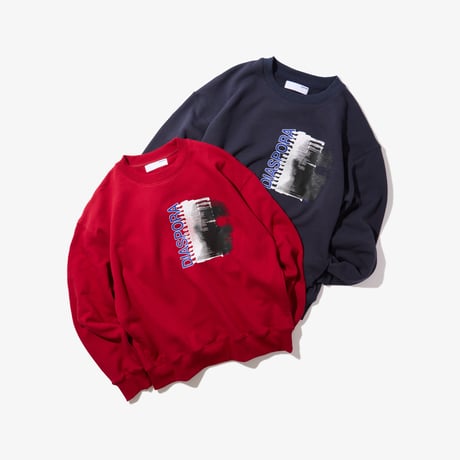Thermocam Crewneck Sweatshirt (Slate)