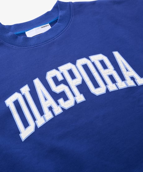 College Logo Crewneck Sweatshirt (Navy)