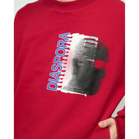 Thermocam Crewneck Sweatshirt (Slate)
