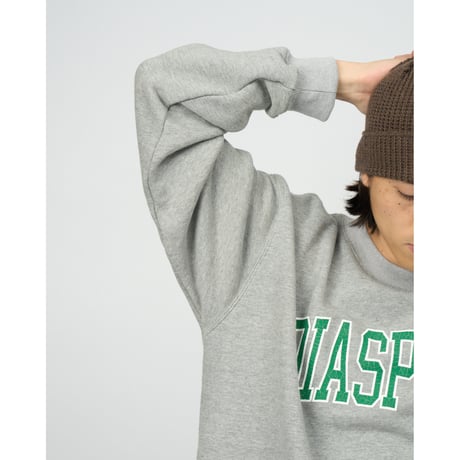 College Logo Crewneck Sweatshirt (Ash)