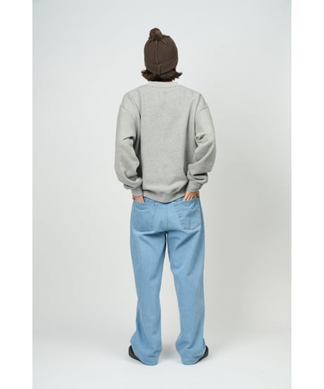 College Logo Crewneck Sweatshirt (Ash)