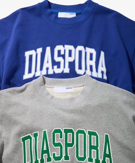 College Logo Crewneck Sweatshirt (Navy)
