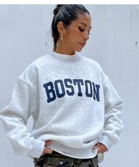 print sw「BOSTON」#3667511（裏起毛）