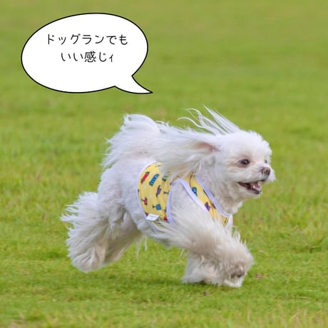 CARプリント クール素材 ショート丈タンク