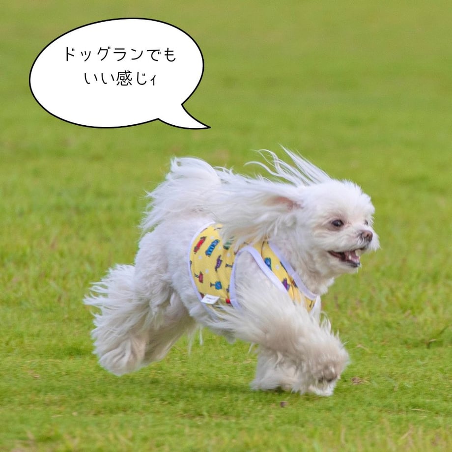 6a2fd7dcbf1bd01428fc6d32