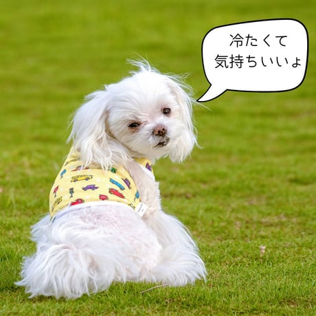 CARプリント クール素材 ショート丈タンク