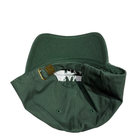 MAKE AMERICA HEALTHY AGAIN CAP