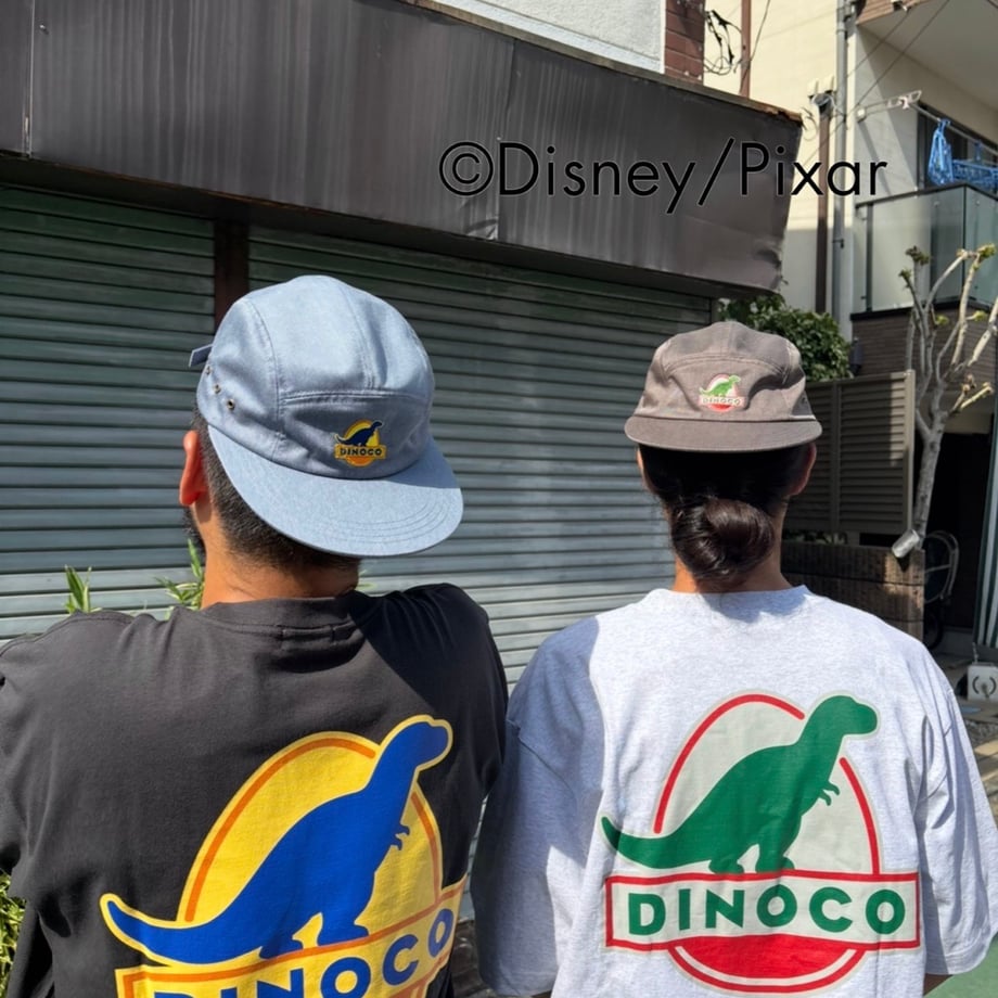 6a9266de86db81a5801b0ec1