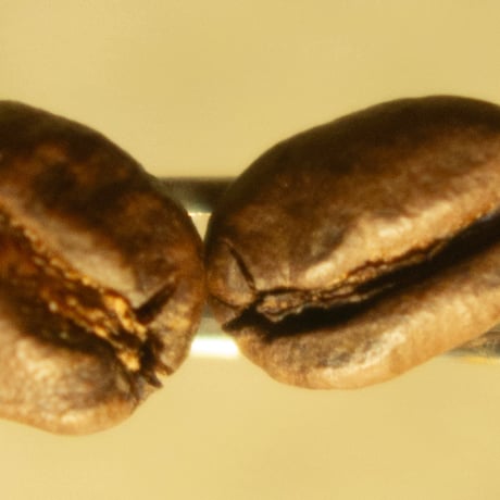 Ethiopia Yirgacheffe Vega G1