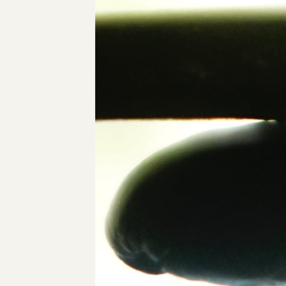 6aa89369ecbb081d27b8e296