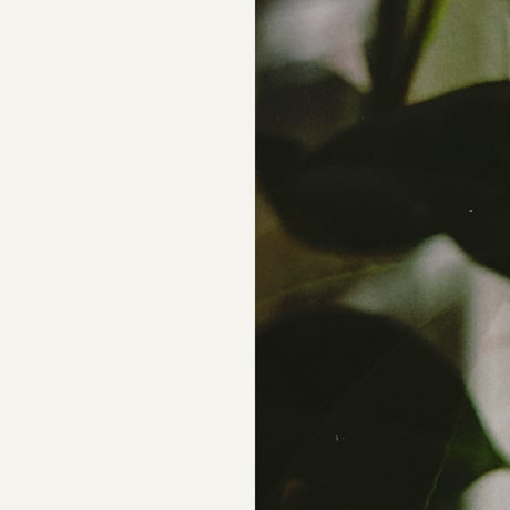 No.8 – Seasonal Blend