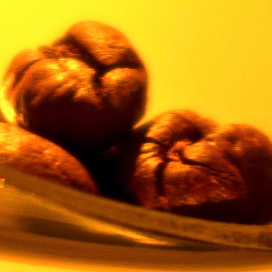 5d5140c02e89b721808d3724