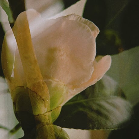 No.8 – Seasonal Blend