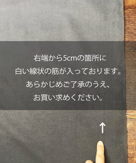 【訳ありSALE品】 《生地》綿ネップ・パラシュートクロス(スミクロ)●F-29003