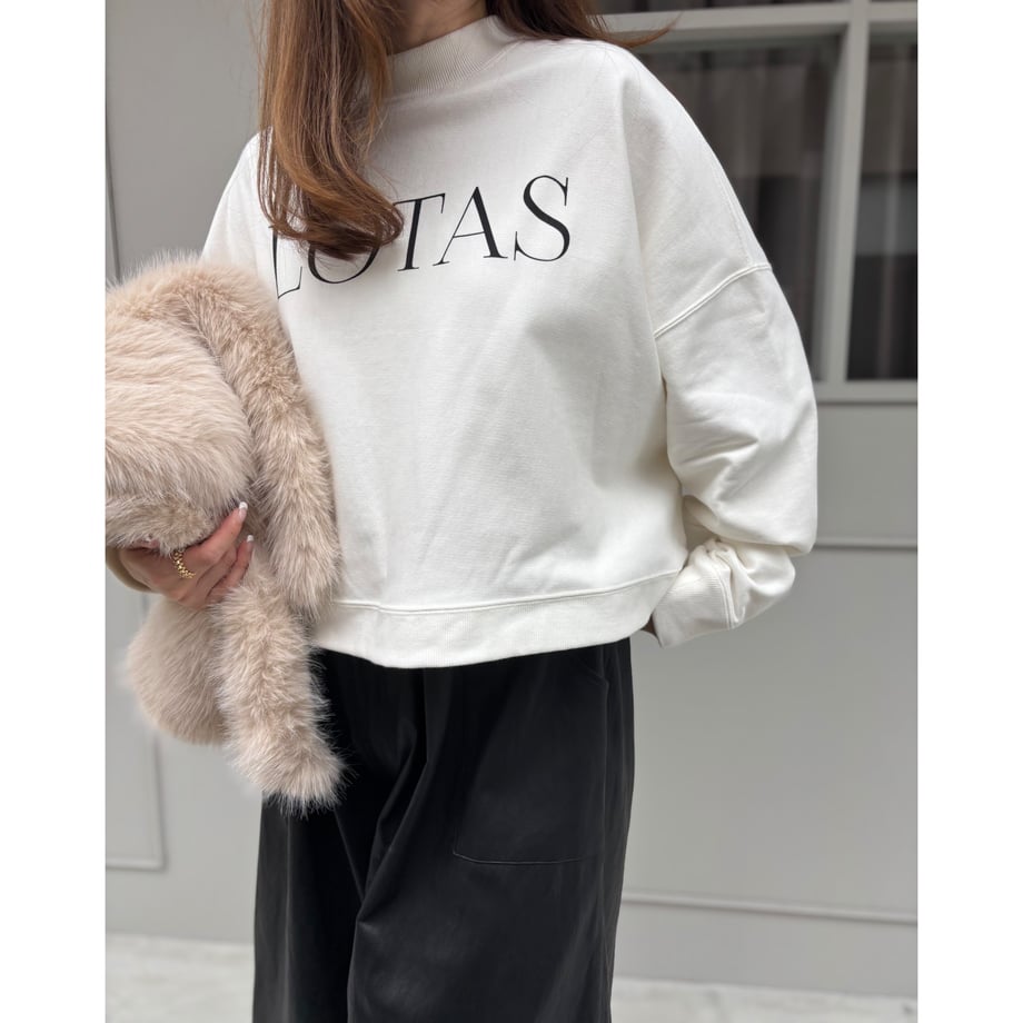 6ad5a8521dae8840a88d2048