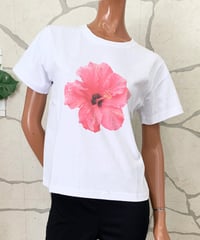 HULA LANI ショート丈レディースシャツ 2623HU2ST930