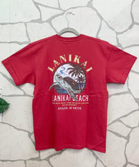 HULA LANI メンズTシャツ 263HU1ST897