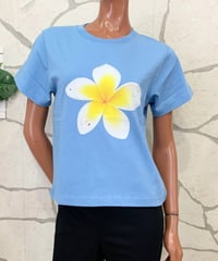 HULA LANI ショート丈レディースシャツ 2623HU2ST930