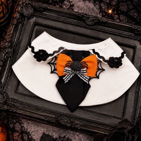 ✨Noir bib🕷️Spider✨
