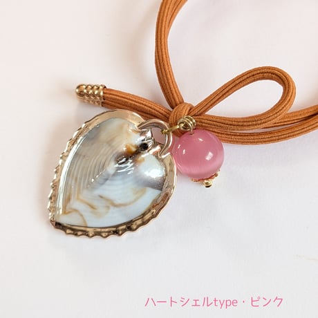 アンモナイト | STORES
