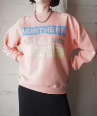 "NORTHERN ILLINOIS" College Sweat PI