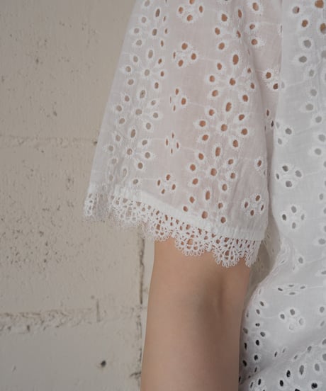 V Neck Cutwork Lace Blouse WH