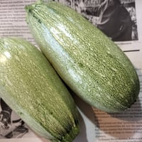 【お得なまとめ買い！！】ほぼ自然栽培！！夏が美味しい定番のズッキーニ！！